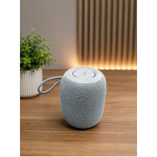 Lenovo wireless Speaker